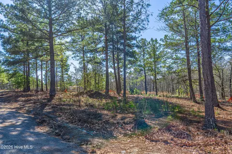 708 Ed Thomas Rd, Cameron, NC 28326 photo 4