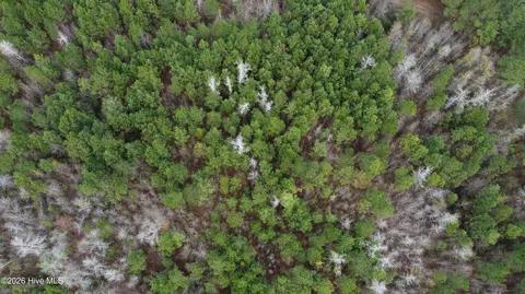 19115 Andrew Jackson Hwy E, Bolton, NC 28423