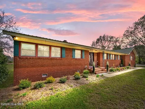 293 Old Chinquapin Rd, Beulaville, NC 28518