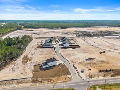 View/Area - 1063 Hanson Dr, Leland, NC 28451 photo 1 of 4
