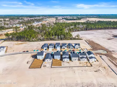 View/Area - 1063 Hanson Dr, Leland, NC 28451 photo 3 of 4