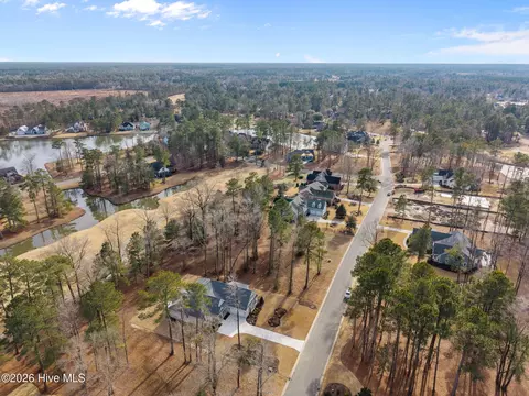 View/Area - 193 E Winding Way, Wallace, NC 28466 photo 4 of 7
