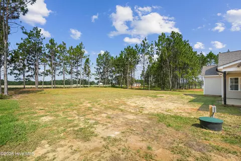 Exterior - 117 N Rabbit Run Dr, Smithfield, NC 27577 photo 7 of 8