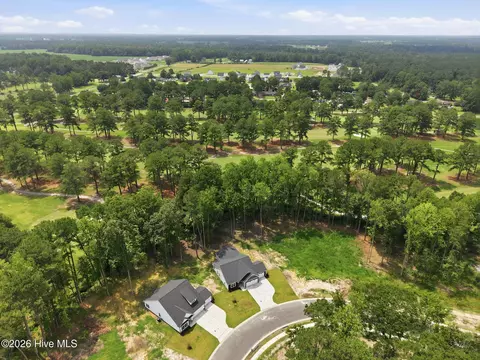 View/Area - 960 Rialto Ln, Ayden, NC 28513 photo 6 of 10