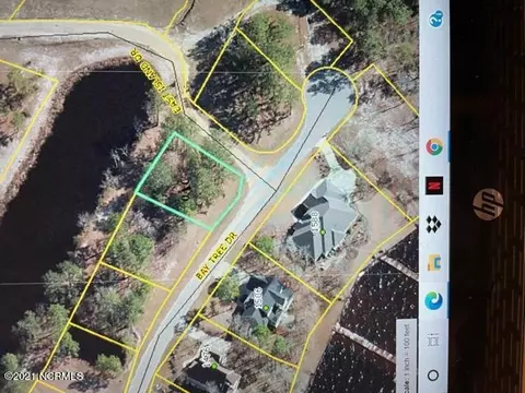 432 Bay Tree Dr, Harrells, NC 28444