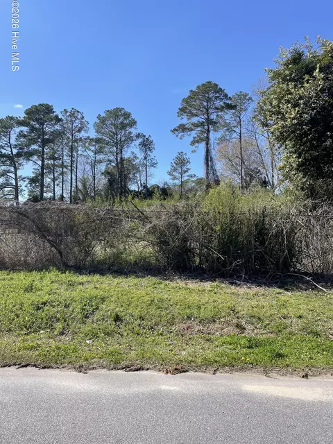 101 N Weber St, Trenton, NC 28585