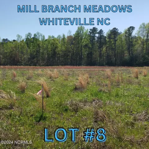 97 Mill Branch Dr, Whiteville, NC 28472