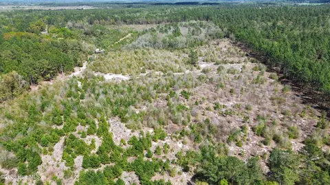 0 Wilbur Pridgen Rd, Harrells, NC 28444