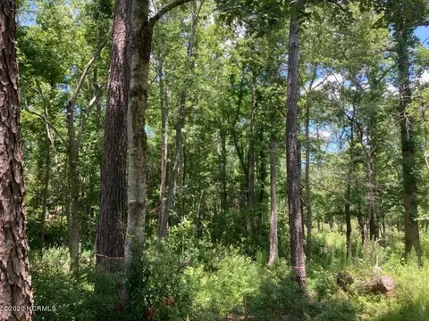 76 Hughes Rd, Hampstead, NC 28443 photo 11