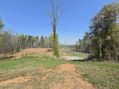 3123 Everett Chappell Rd, Ellerbe, NC 28338