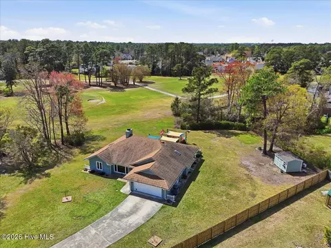 View/Area - 104 Greenview Ct, Hampstead, NC 28443 photo 2 of 11