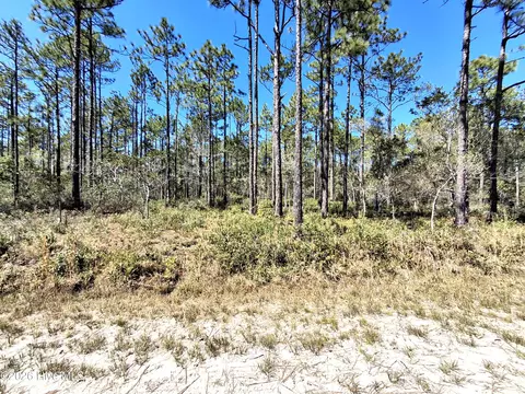 lot550 Crescent Rd, Boiling Spring Lakes, NC 28461