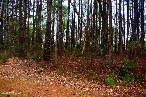 6708 Wood Ave, Saratoga, NC 27873