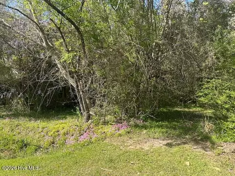 408 Mill Quarters Rd, Hallsboro, NC 28442