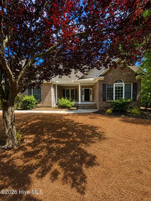 Other - 141 Longleaf Dr, West End, NC 27376 photo 17 of 18