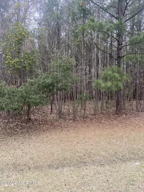 lot88 Johnson Dr, Hertford, NC 27944
