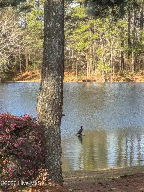 View/Area - 576 Tralee Dr, Smithfield, NC 27577 photo 6 of 9