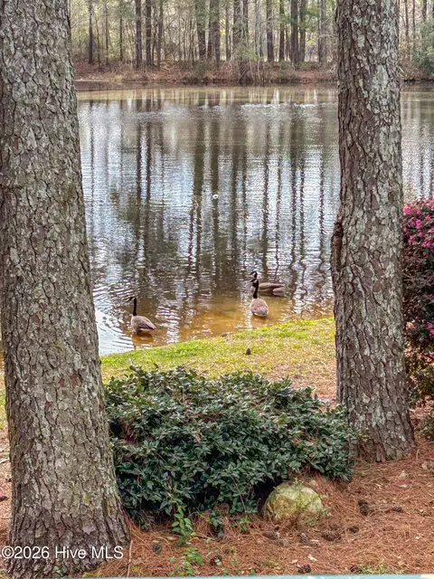 Other - 576 Tralee Dr, Smithfield, NC 27577 photo 11 of 13