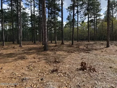 27 Birkdale Way, Pinehurst, NC 28374