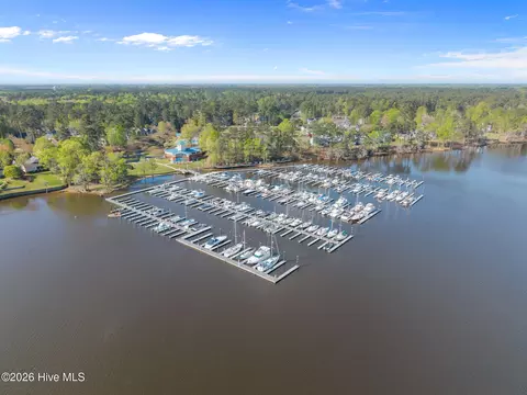 View/Area - 121 Pamlico Ln, Chocowinity, NC 27817 photo 3 of 14