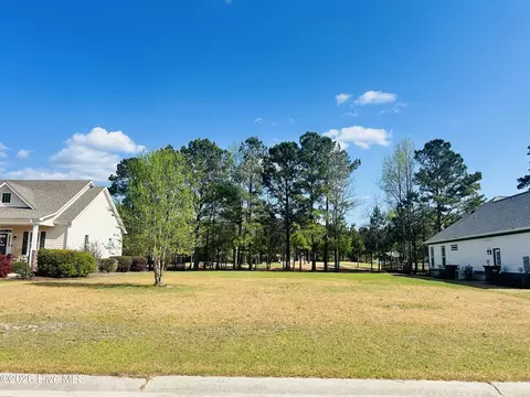 132 Falls Landing Way, Wallace, NC 28466