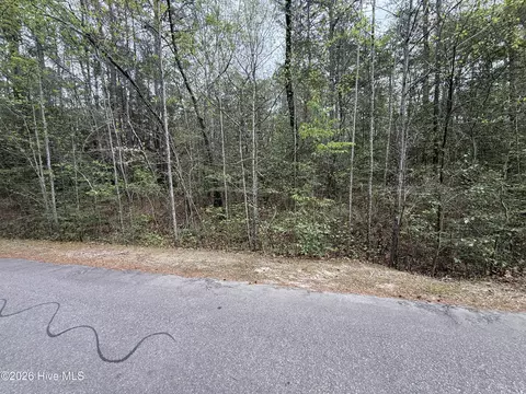 362 Thimbleberry Dr, Vass, NC 28394