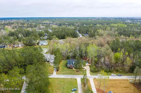 View/Area - 167 Hydrangea Ln, Hampstead, NC 28443 photo 1 of 2