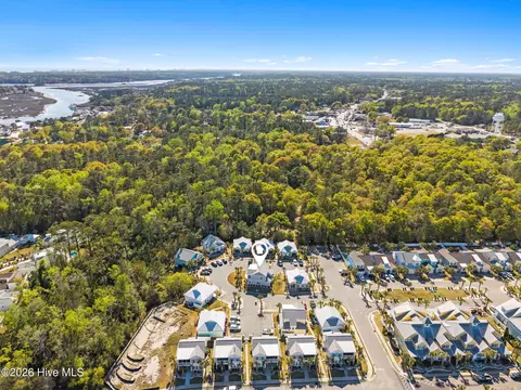 View/Area - 1388 Albacore Loop, Calabash, NC 28467 photo 8 of 13