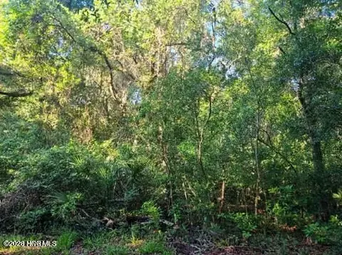54 Fort Holmes Trl, Bald Head Island, NC 28461