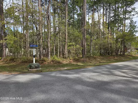 901 Bee Tree Ct, New Bern, NC 28560
