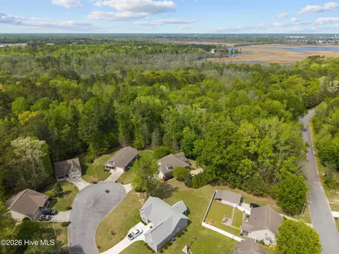 View/Area - 1 Joshua Dr, Chocowinity, NC 27817 photo 4 of 7