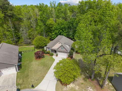 View/Area - 1 Joshua Dr, Chocowinity, NC 27817 photo 6 of 7