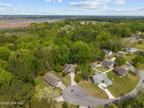 View/Area - 1 Joshua Dr, Chocowinity, NC 27817 photo 3 of 7
