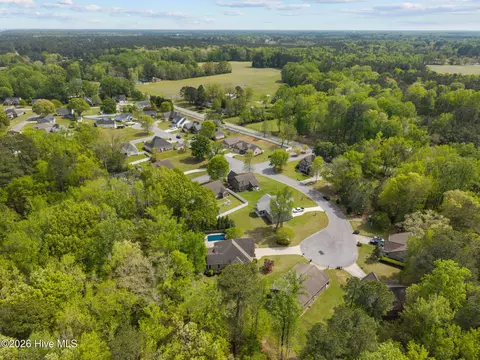 View/Area - 1 Joshua Dr, Chocowinity, NC 27817 photo 5 of 7