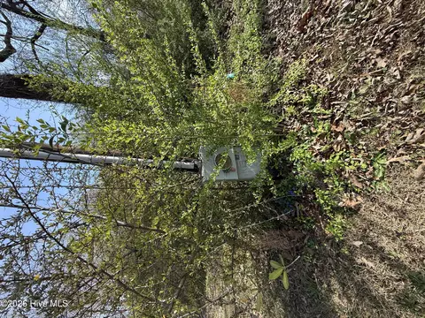 1878 Bailey Rd, Coats, NC 27521 photo 3