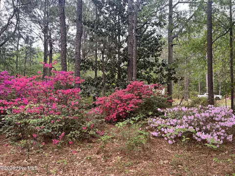 Exterior - 148 Dixie Trl, Hamlet, NC 28345 photo 3 of 5