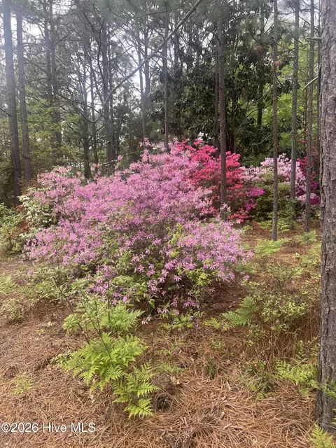 Other - 148 Dixie Trl, Hamlet, NC 28345 photo 4 of 6