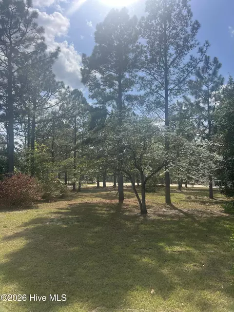 Exterior - 148 Dixie Trl, Hamlet, NC 28345 photo 5 of 5