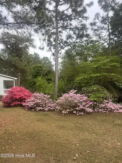 Exterior - 148 Dixie Trl, Hamlet, NC 28345 photo 2 of 5