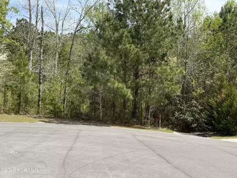 2981 Lyndhurst Ter SW, Shallotte, NC 28470