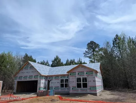 220 Tracy Dr, Burgaw, NC 28425