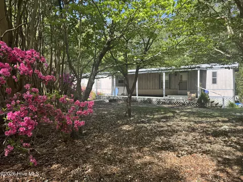 490 Springhill Church Rd, Hamlet, NC 28345