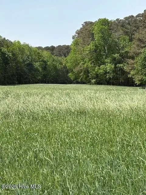 000 Leon Rd, Nashville, NC 27856