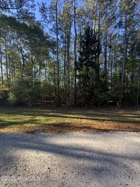 42 Pond View Cir E, Hampstead, NC 28443 photo 4