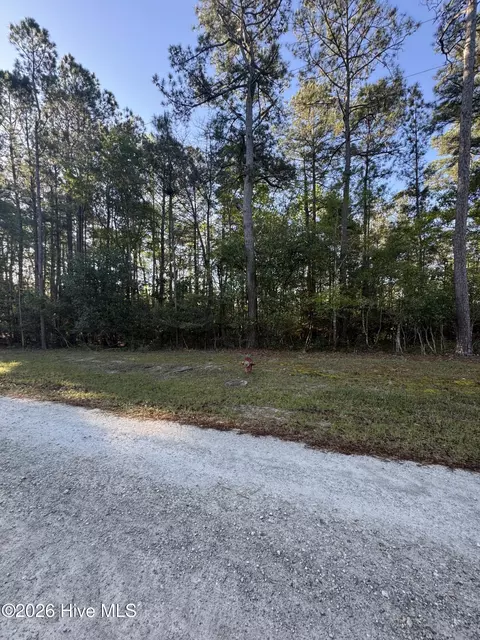 43 Pond View Cir E, Hampstead, NC 28443 photo 6