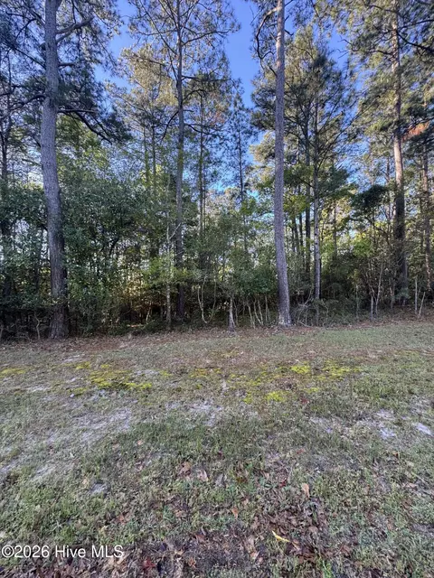 43 Pond View Cir E, Hampstead, NC 28443 photo 4