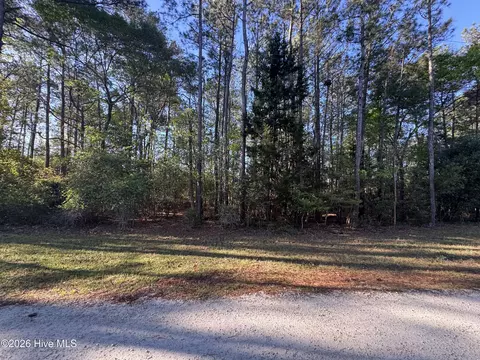 43 Pond View Cir E, Hampstead, NC 28443 photo 3