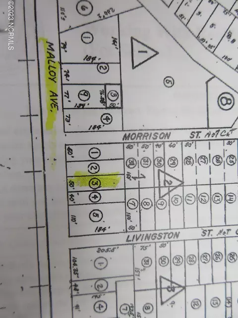 3 Malloy Ave, Laurel Hill, NC 28351