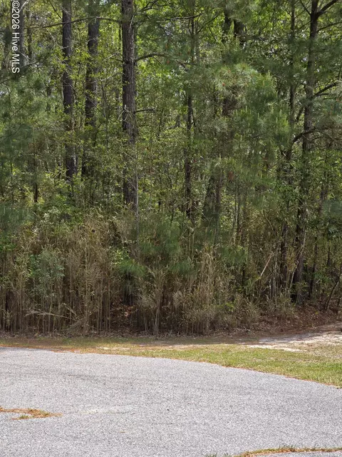 110 Kernel Ct, Grandy, NC 27939