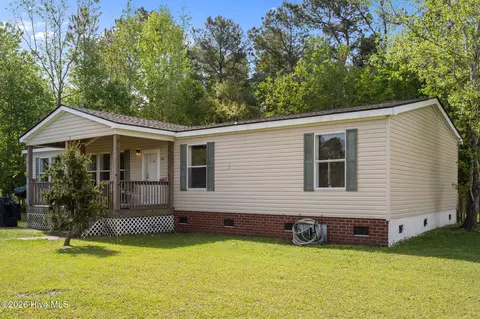 166 Haystack Branch Ln, Beulaville, NC 28518 photo 3